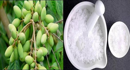cach-tri-viem-amidan-bang-thuoc-nam-tot-nhat2