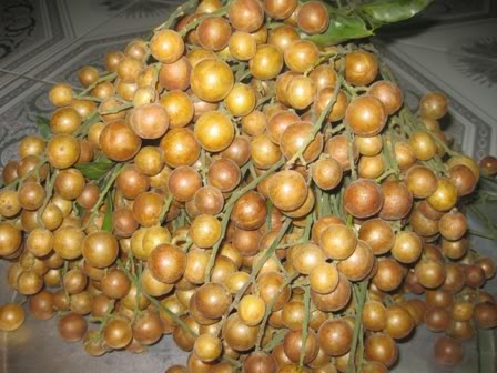 Chữa viêm họng hiệu quả nhờ quả hồng bì