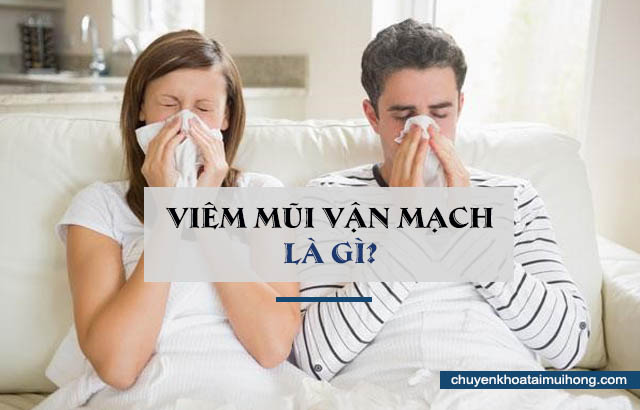 viêm mũi vận mạch là gì