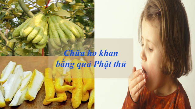 Chữa ho khan cho trẻ bằng quả phật thủ