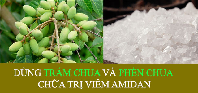 Chữa viêm amidan bằng quả trám và phèn chua Chữa viêm amidan bằng quả trám và phèn chua