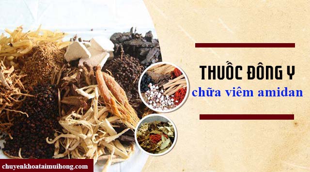 Sử dụng thuốc Đông y chữa bệnh viêm amidan Sử dụng thuốc Đông y chữa bệnh viêm amidan
