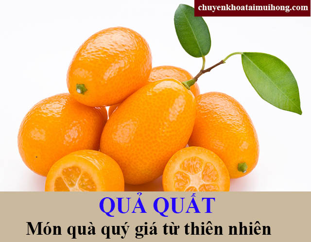 Công dụng của quả quất trong việc chữa bệnh ho viêm họng