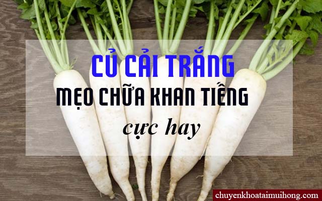 Củ cải trắng chữa bệnh khan tiếng 