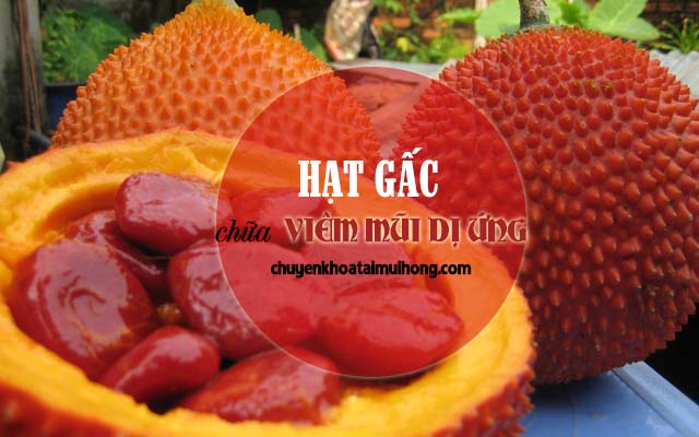 Dùng hạt gấc chữa viêm mũi dị ứng