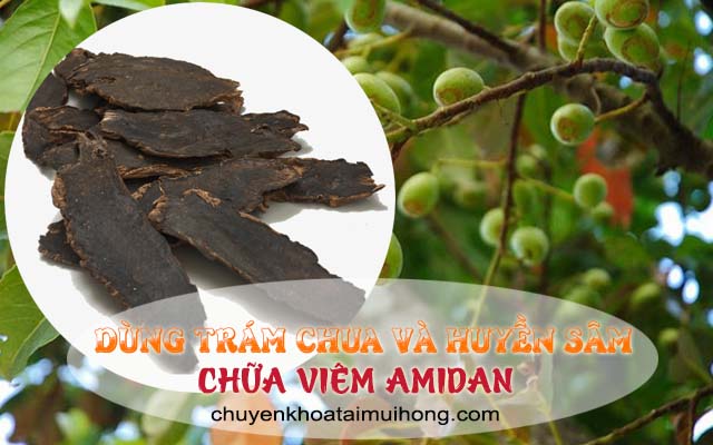 chữa viêm amidan bằng trám chua và huyền sâm