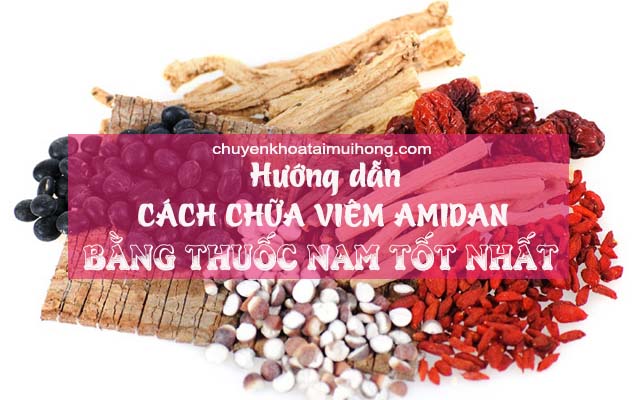 Cách trị viêm amidan bằng thuốc nam tốt nhất