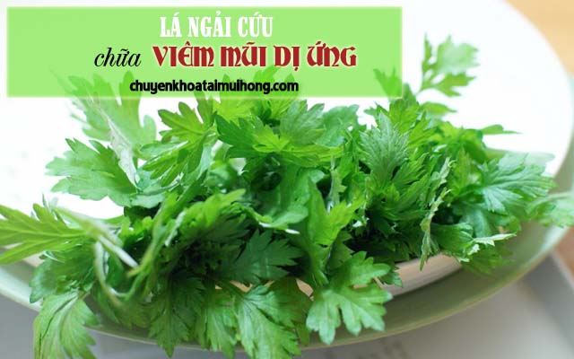 Chữa viêm mũi dị ứng bằng lá ngải