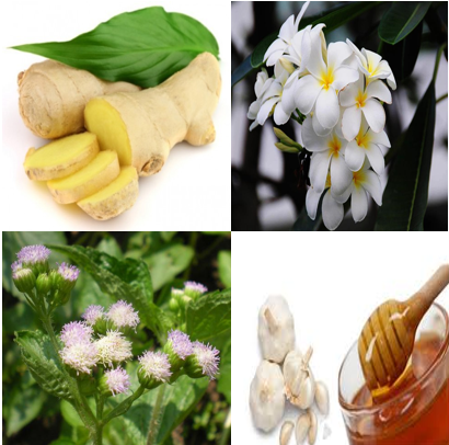 Trị viêm mũi dị ứng khi thời tiết thay đổi