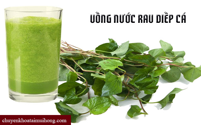 Chữa ho bằng cách uống nước rau diếp cá