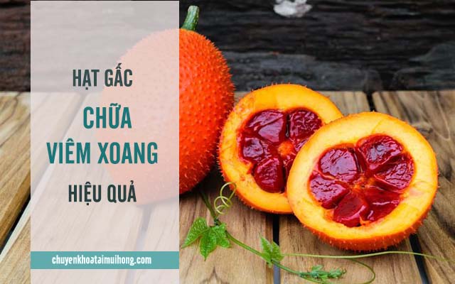 hạt gấc chữa viêm xoang