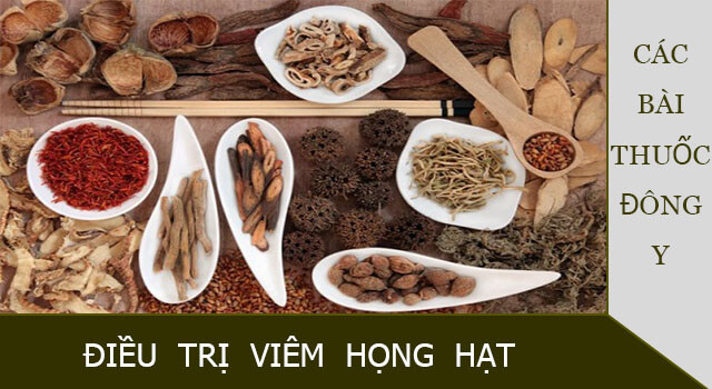 Chữa viêm họng hạt bằng thuốc Đông y