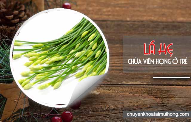 Lá hẹ - mật ong: mẹo chữa viêm họng ở trẻ