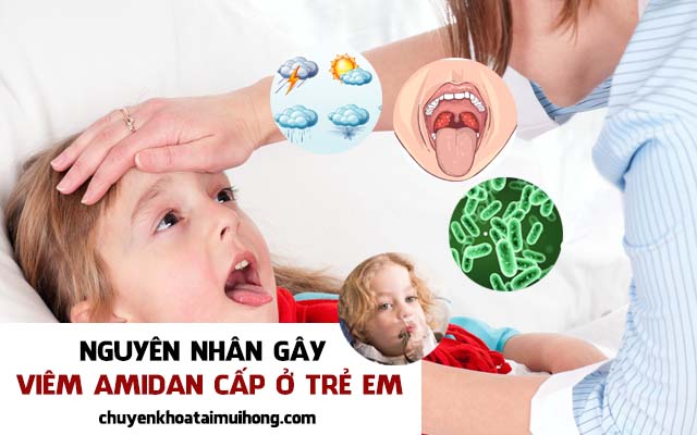 Nguyên nhân gây viêm amidan cấp ở trẻ