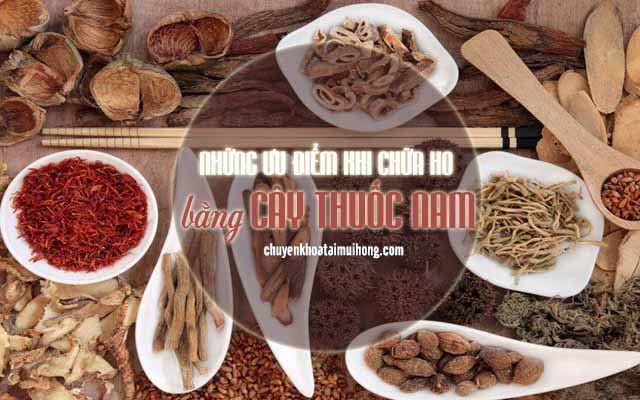 Những ưu điểm khi chữa ho bằng cây thuốc nam