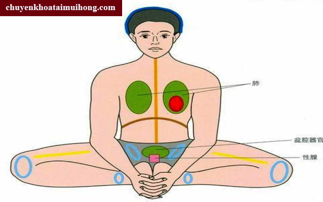 Chữa cảm lạnh bằng cách tập thể dục Chữa cảm lạnh bằng cách tập thể dục