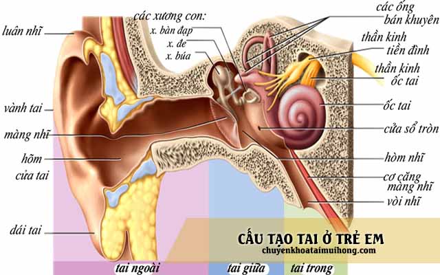 Bệnh viêm tai giữa ở trẻ