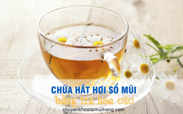 Uống trà hoa cúc chữa hắt hơi sổ mũi