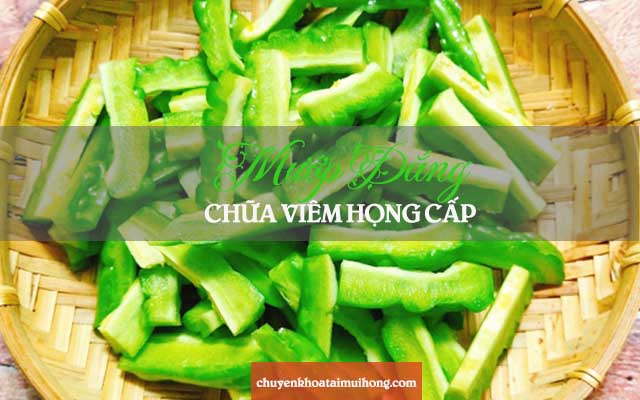 mướp đắng chữa viêm họng