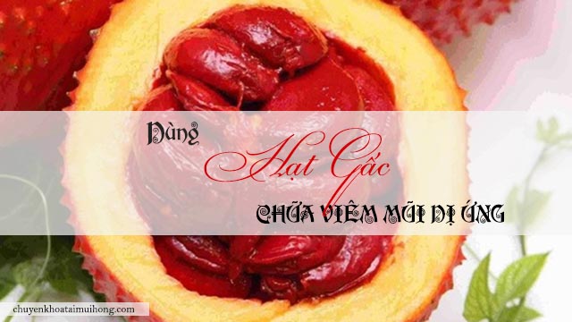 Dùng hạt gấc chữa viêm mũi dị ứng