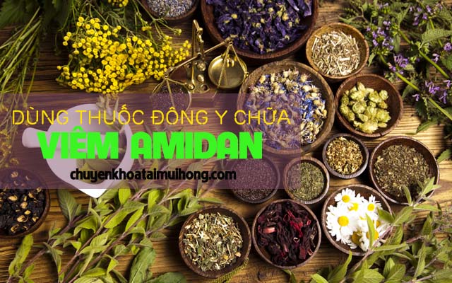 Dùng thuốc Đông y chữa viêm amidan