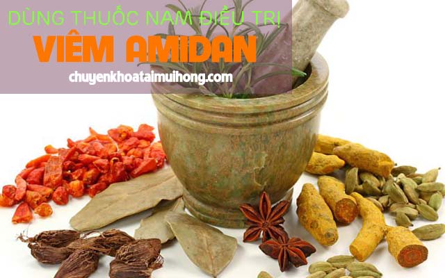 Điều trị viêm amidan bằng thuốc nam