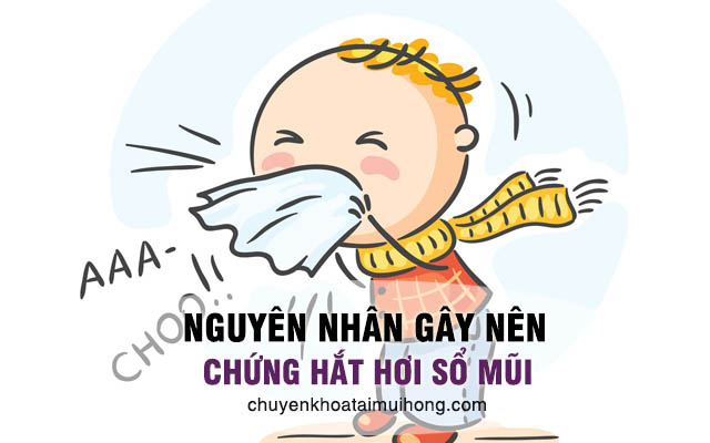 Nguyên nhân gây chứng hắt hơi sổ mũi