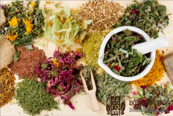Thuốc đông y gia truyền đỗ minh chữa viêm phế quản