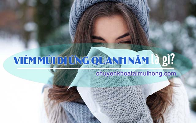 Viêm mũi dị ứng quanh năm là gì?