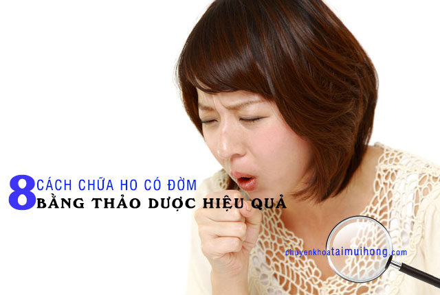 8 cách chữa ho có đờm bằng thảo dược