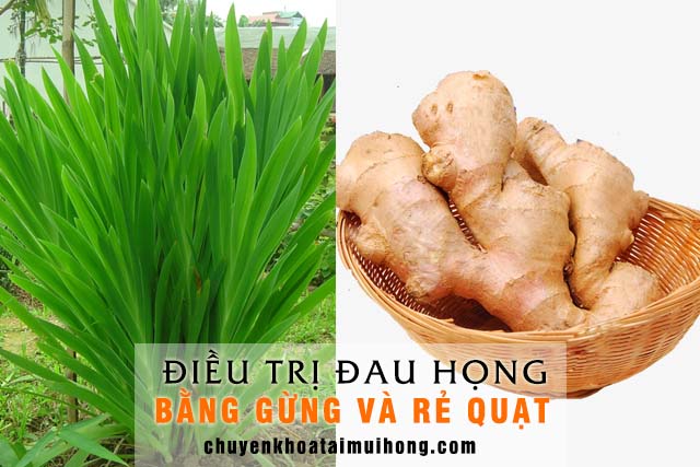 Dùng gừng với rẻ quạt chữa đau họng