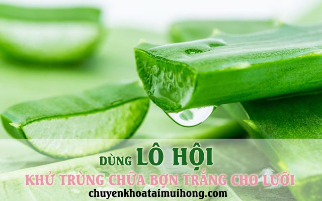 Dùng Lô hội chữa bợn trắng cho lưỡi