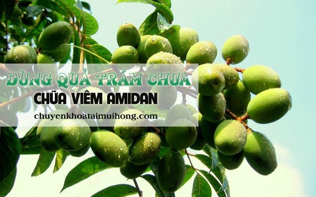 Dùng quả trám chua chữa viêm amidan