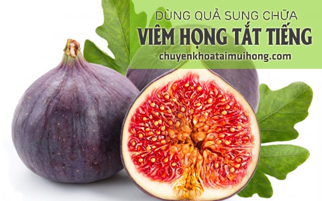 Cách dùng quả sung chữa viêm hong tắt tiếng