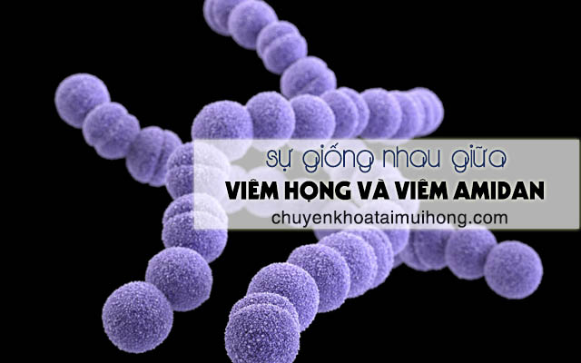 Sự giống nhau giữa viêm họng và viêm amidan