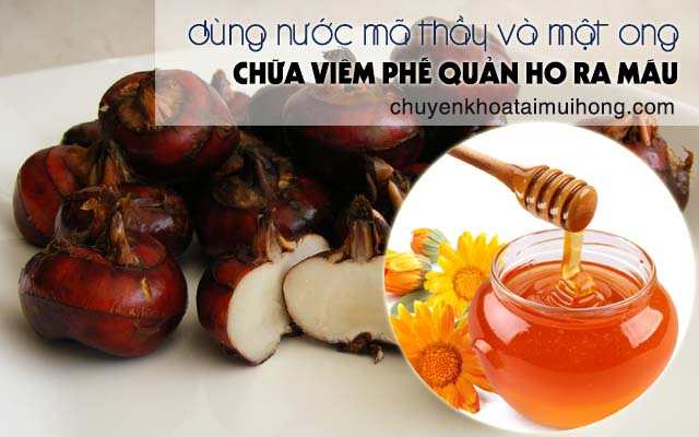 Điều trị viêm phế quản ho ra máu bằng mã thầy và mật ong