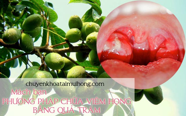 Chữa bệnh viêm họng bằng quả trám