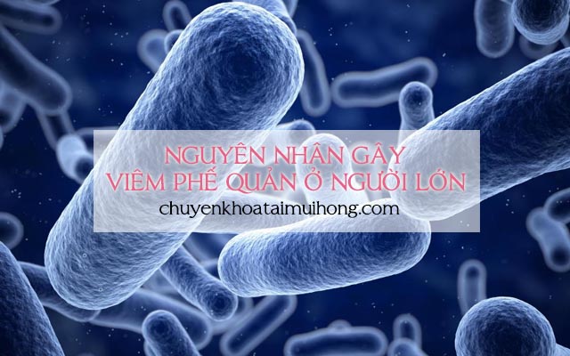 Nguyên nhân gây ra bệnh viêm phế quản ở người lớn