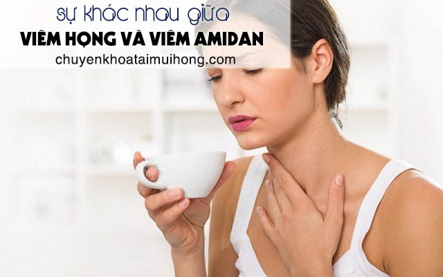 Sư khác nhau giữa viêm họng và viêm amidan