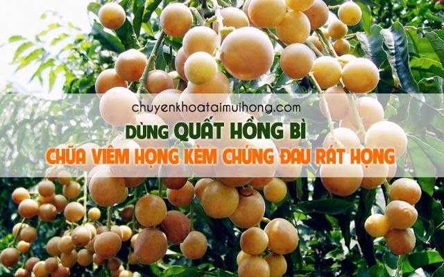 Chữa viêm họng kèm chứng đau rát họng bằng quất hồng bì