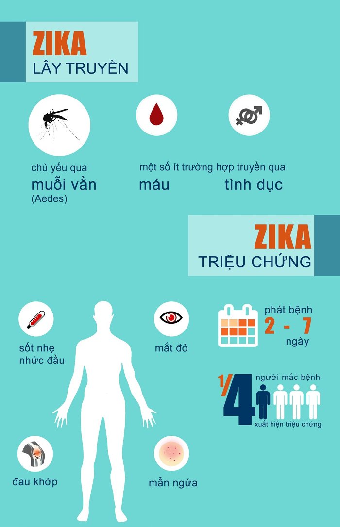 4-bieu-hien-nhiem-cum-zika-ban-can-biet-1