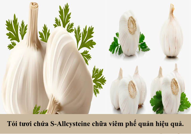 Chữa viêm phế quản bằng củ tỏi