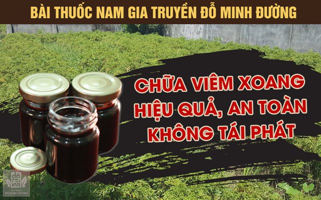 Bài thuốc nam chữa viêm xoang hiệu quả của Đỗ Minh Đường