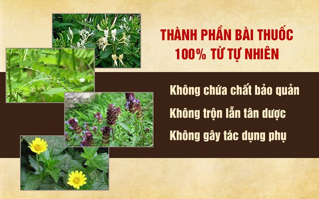 Bài thuốc nam chữa viêm xoang của Đỗ Minh Đường an toàn, lành tính