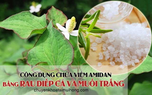 Chữa viêm amidan bằng rau diếp cá và muối trắng