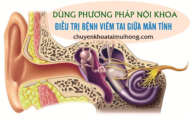 Điều trị viêm tai giữa nội khoa