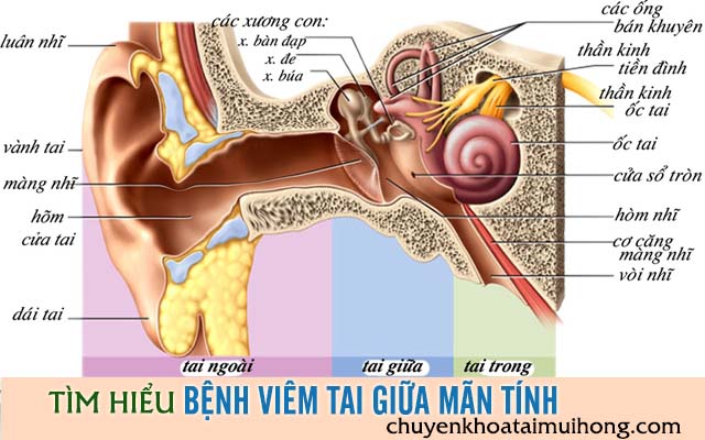 Tìm hiểu bệnh viêm tai giữa mãn tính và những điều cần lưu ý