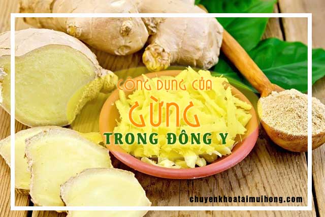 Công dụng của gừng theo Đông y