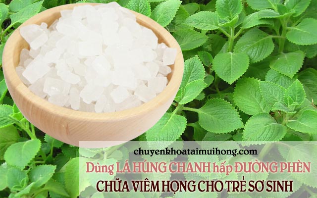 Trị viêm họng cho trẻ sơ sinh bằng lá húng chanh hấp đường phèn