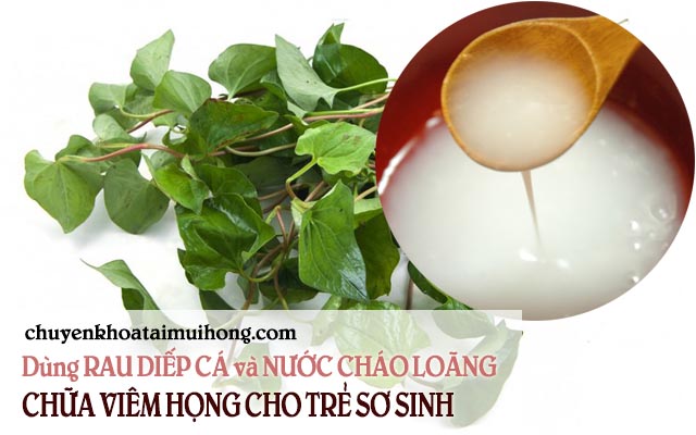 Chữa viêm họng cho trẻ bằng rau diếp cá và nước cháo loãng